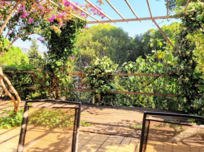 Appartement 3 pièces avec jardin, proche du port et du centre, idéal pour vacances à Banyuls-sur-Mer - FR-1-309-465